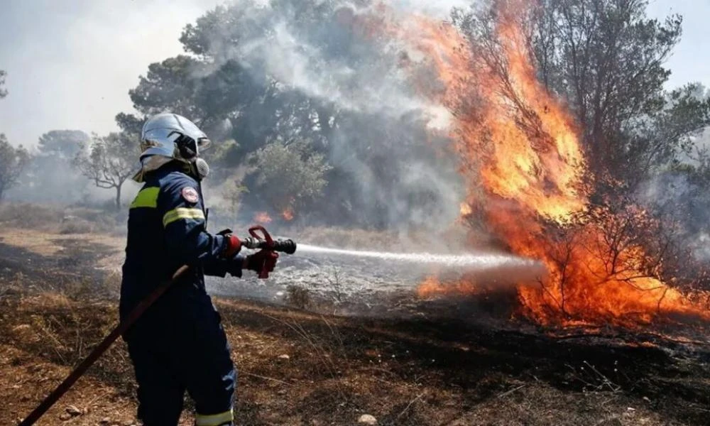 Καρδίτσα: Φωτιά στην περιοχή Συκεώνα - Μεγάλη κινητοποίηση της Πυροσβεστικής
